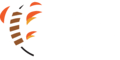 caspian kebebs logo